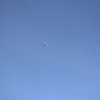 BAC 152-0083